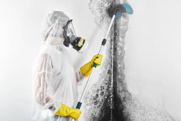 Best Indoor Air Quality Assessment  in Larchmont, NY