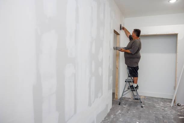 Best Mold Damage Restoration  in Larchmont, NY