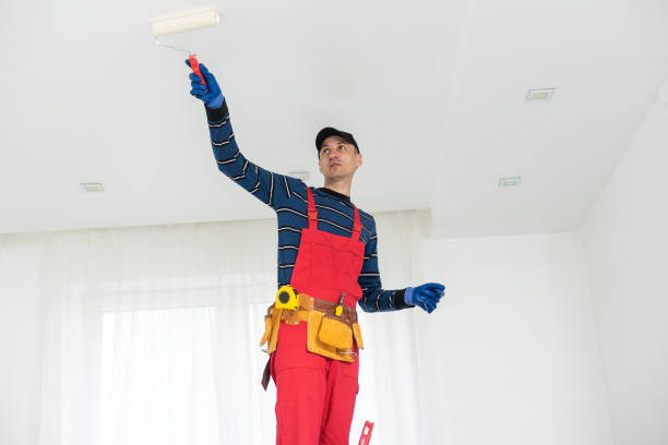 Best Basement Mold Removal  in Larchmont, NY